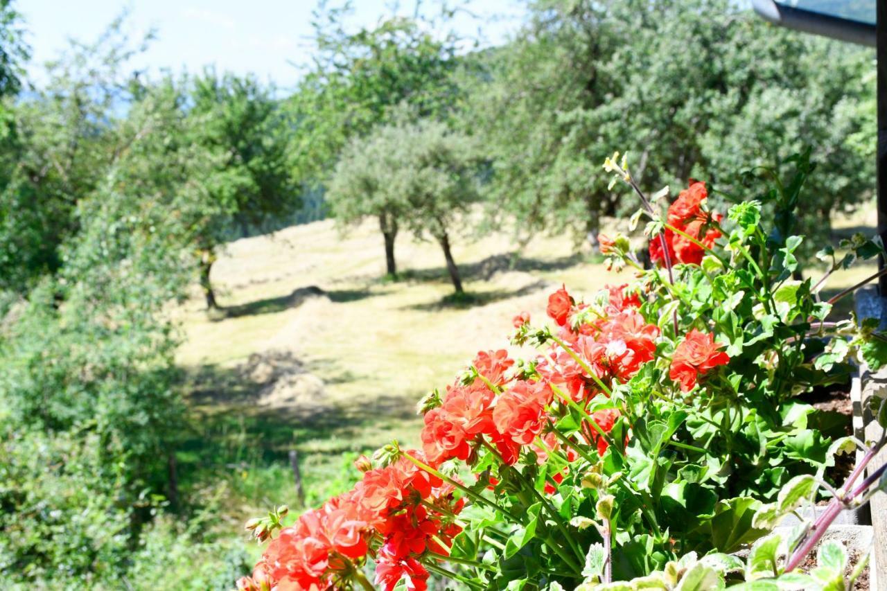 Urlaub Am Haberlehof Daire Gurk Dış mekan fotoğraf